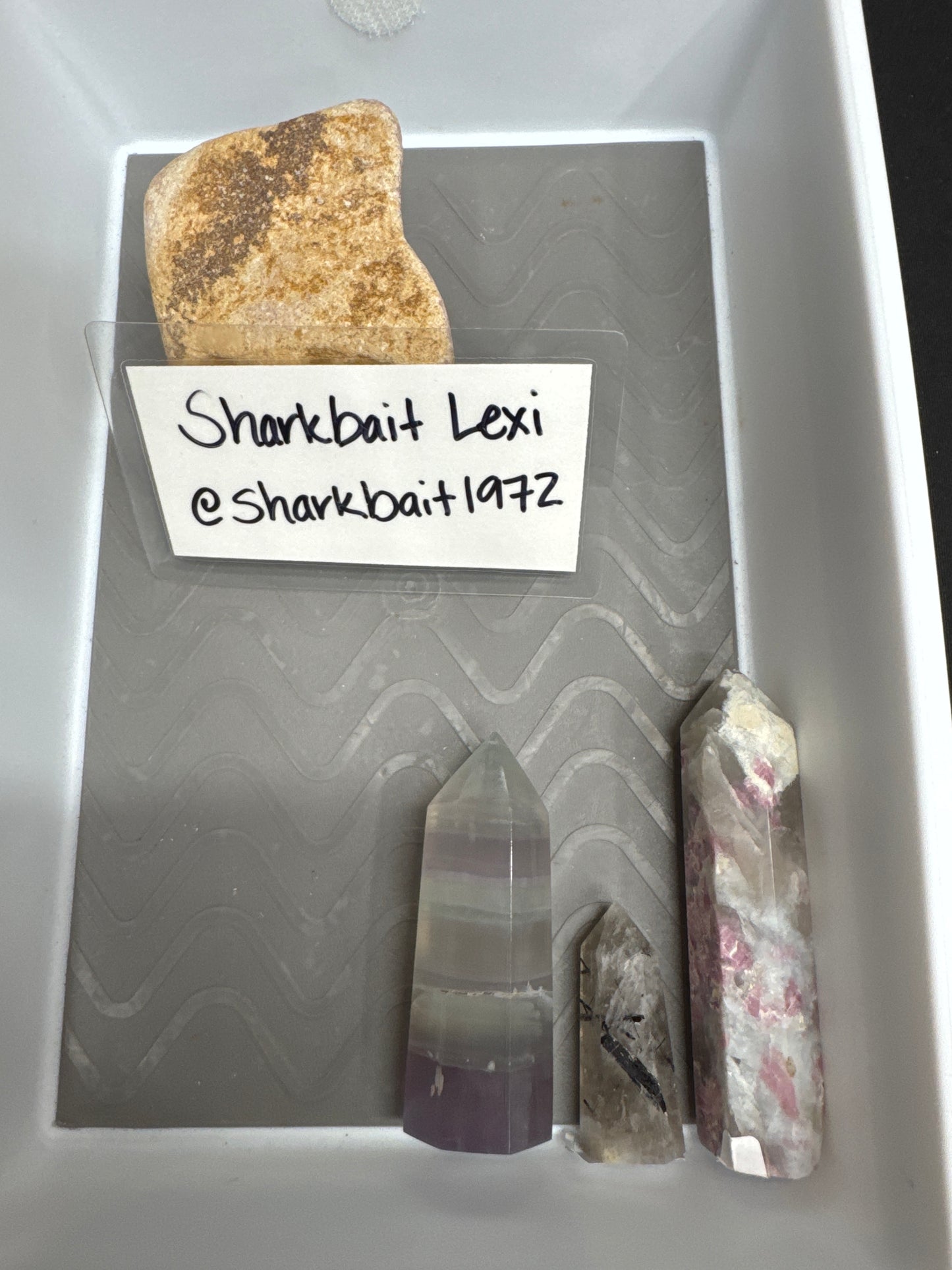 Live Sale - @sharkbait 7/17/26