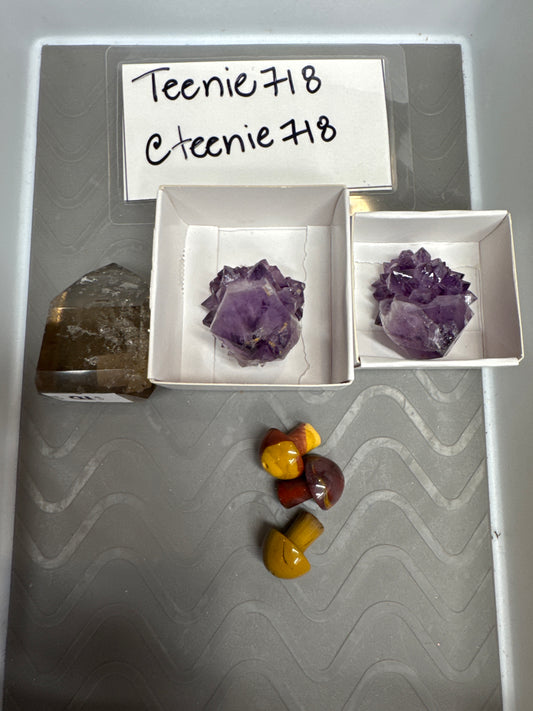 Live Sale - @teenie718 6/13/26
