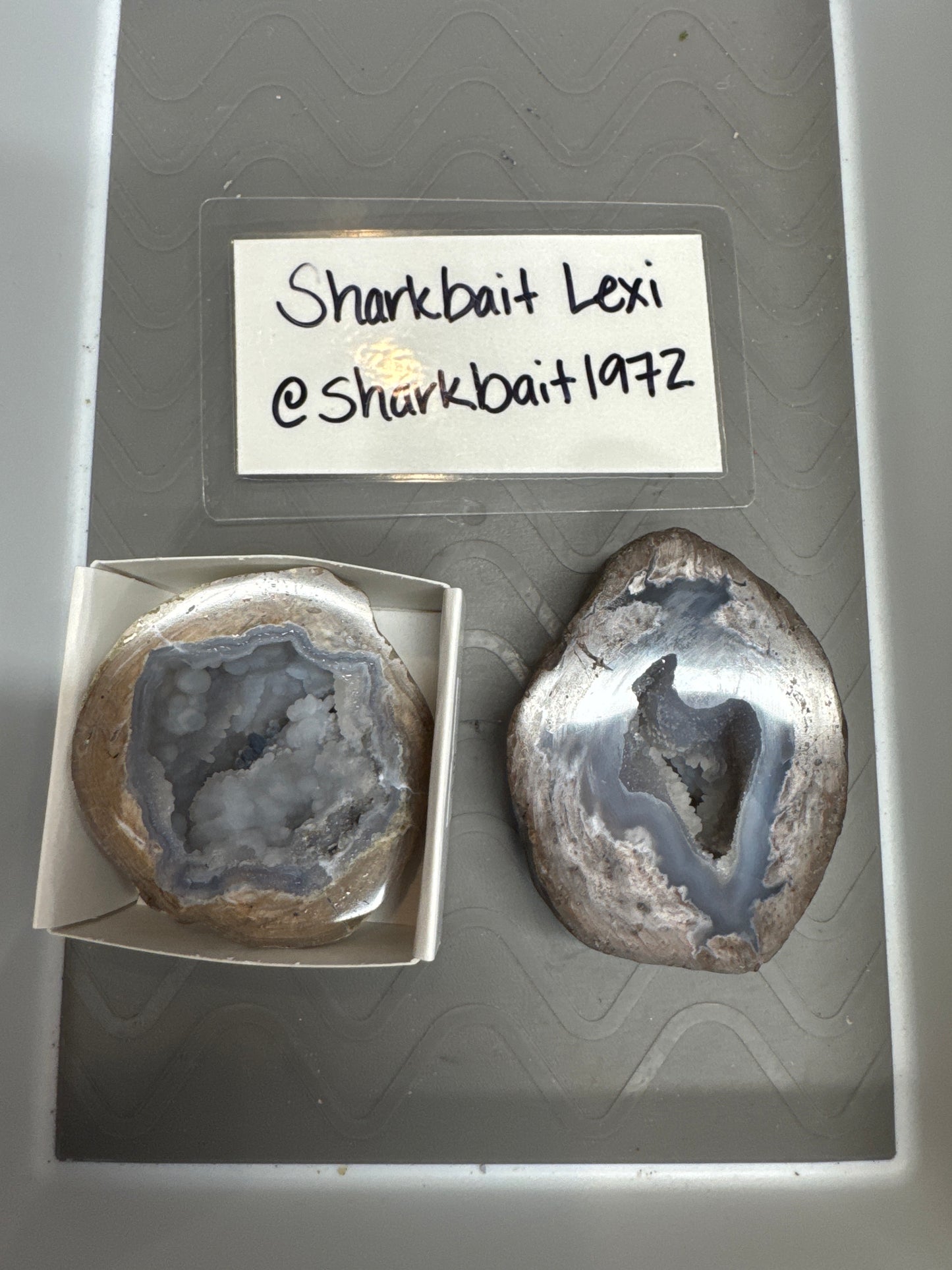Live Sale - @sharkbait 6/27/26