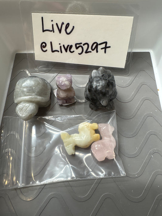 Live Sale - @Live5297 5/31/26