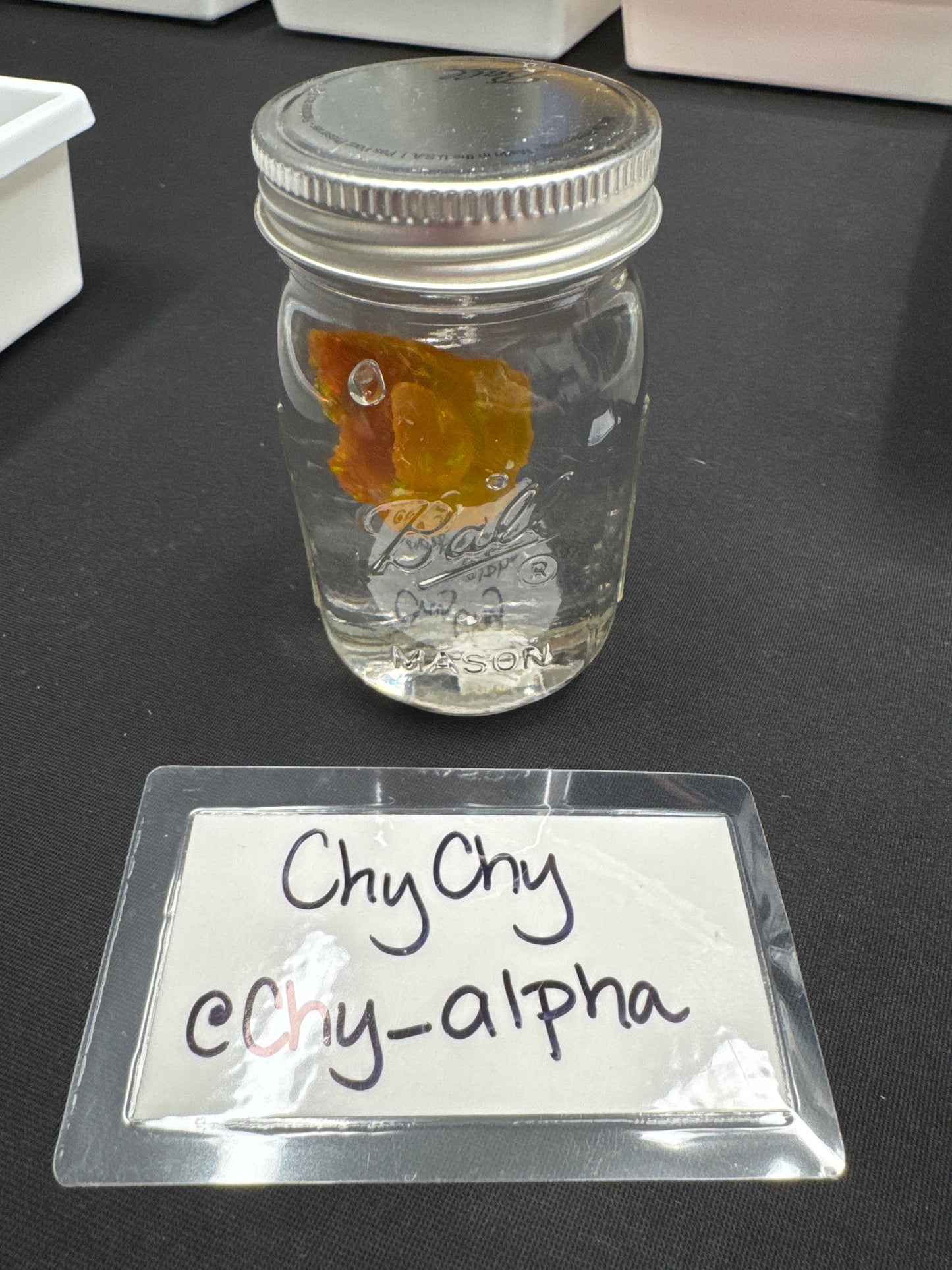 Live Sale - @Chy_Alpha 3/29/26 (Part 2)