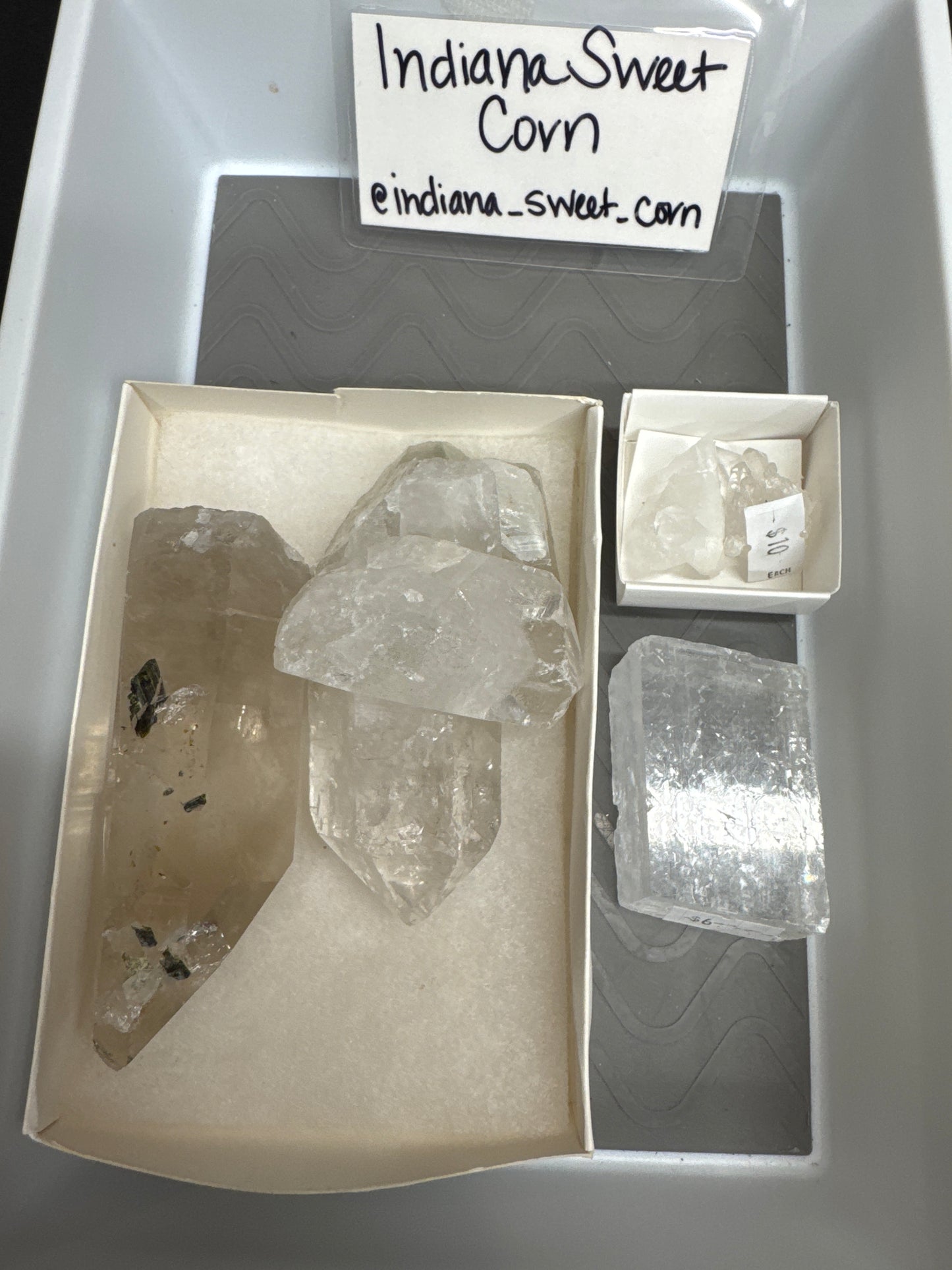 Live Sale - @indiana_sweet_corn 7/11/26